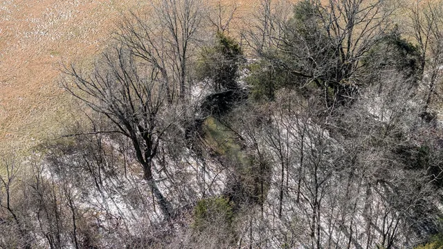 $935,000 | 6217 Lampkins Bridge Road, College Grove, TN 37046