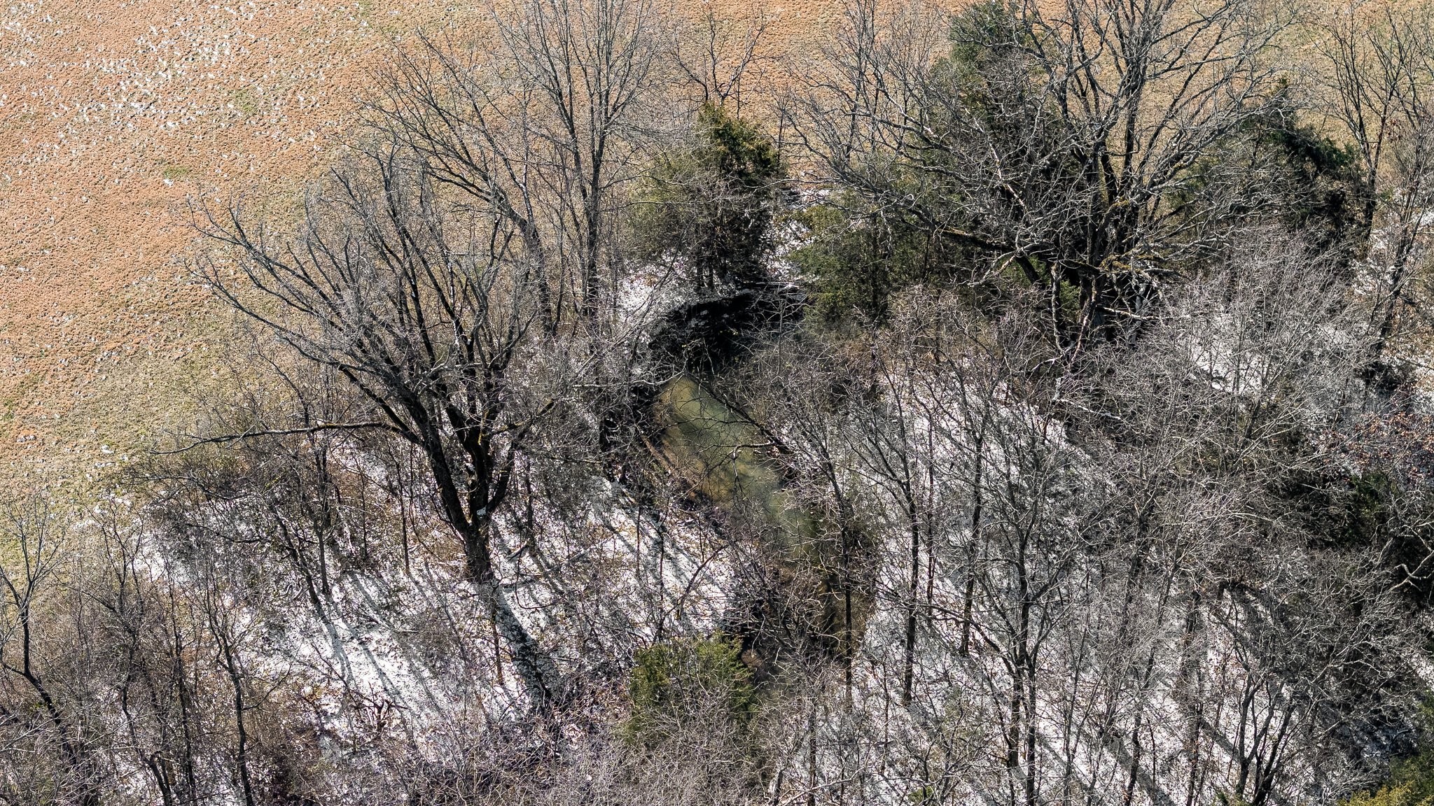 6217 Lampkins Bridge Road College Grove, TN 37046 - Photo 3 of 4