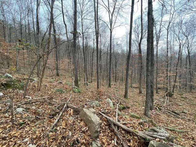 $599,900 | 3895 Coppinger Cove Road, Sequatchie, TN 37374