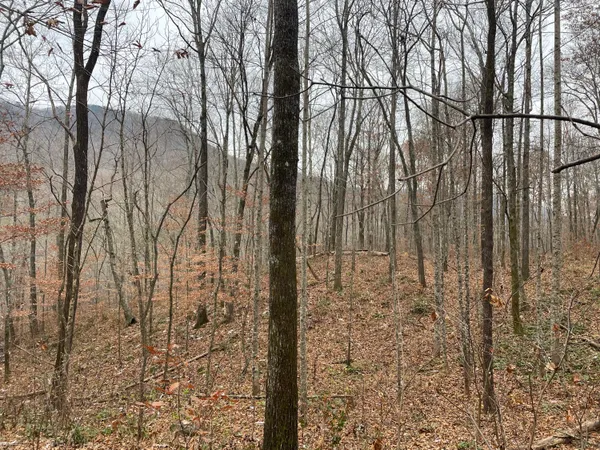 $599,900 | 3895 Coppinger Cove Road, Sequatchie, TN 37374