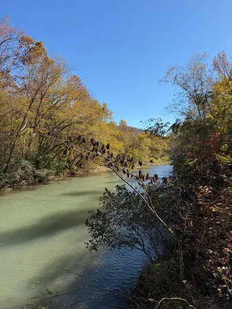 $599,900 | 3895 Coppinger Cove Road, Sequatchie, TN 37374