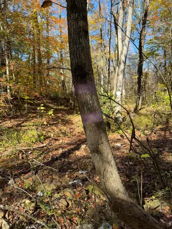 $599,900 | 3895 Coppinger Cove Road, Sequatchie, TN 37374