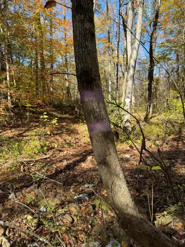 $599,900 | 3895 Coppinger Cove Road, Sequatchie, TN 37374