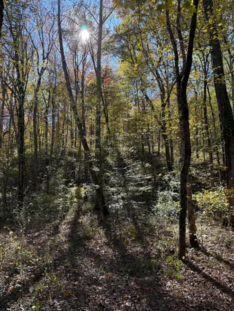 $599,900 | 3895 Coppinger Cove Road, Sequatchie, TN 37374