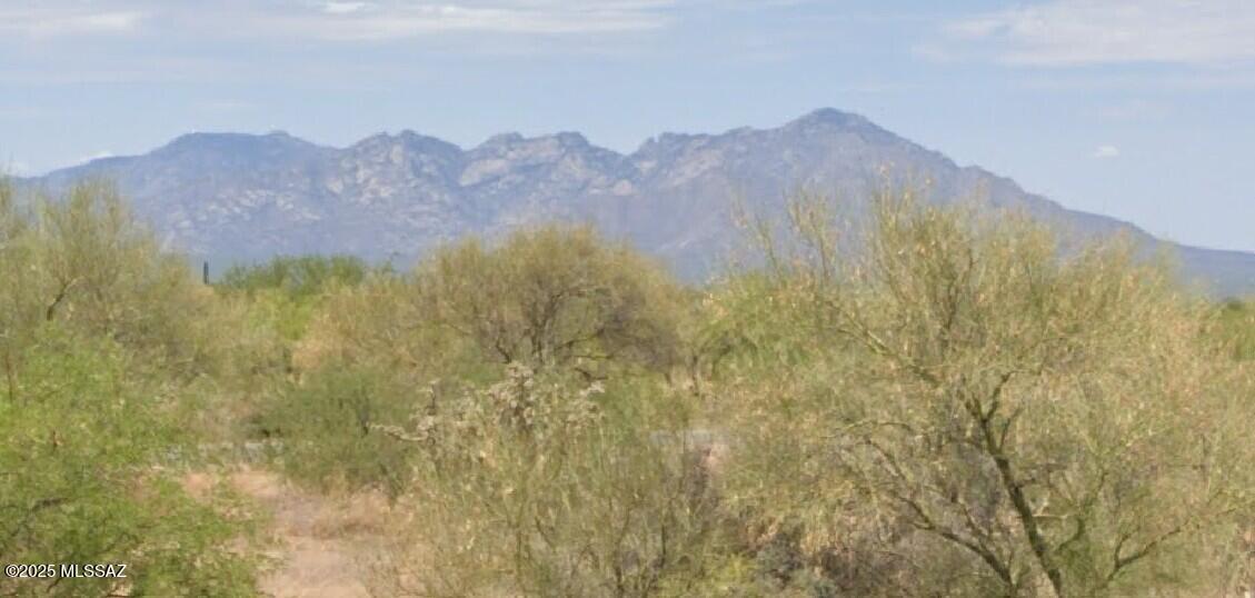 15305 West Diamond Bell Ranch Road, Unit 353 Tucson, AZ 85736 - Photo 9 of 9 Gallery Image 9