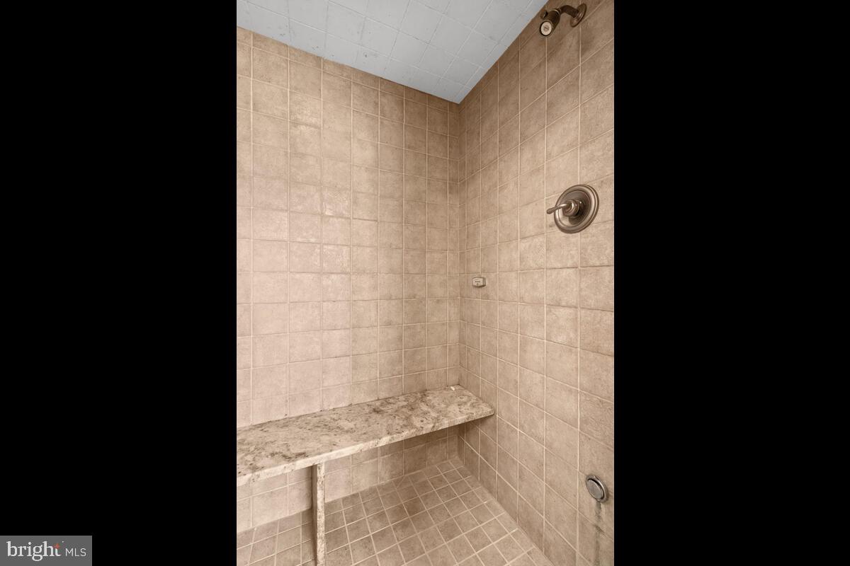 6406 Lochridge Road Columbia, MD 21044 - Photo 18 of 39 Spa bathroom