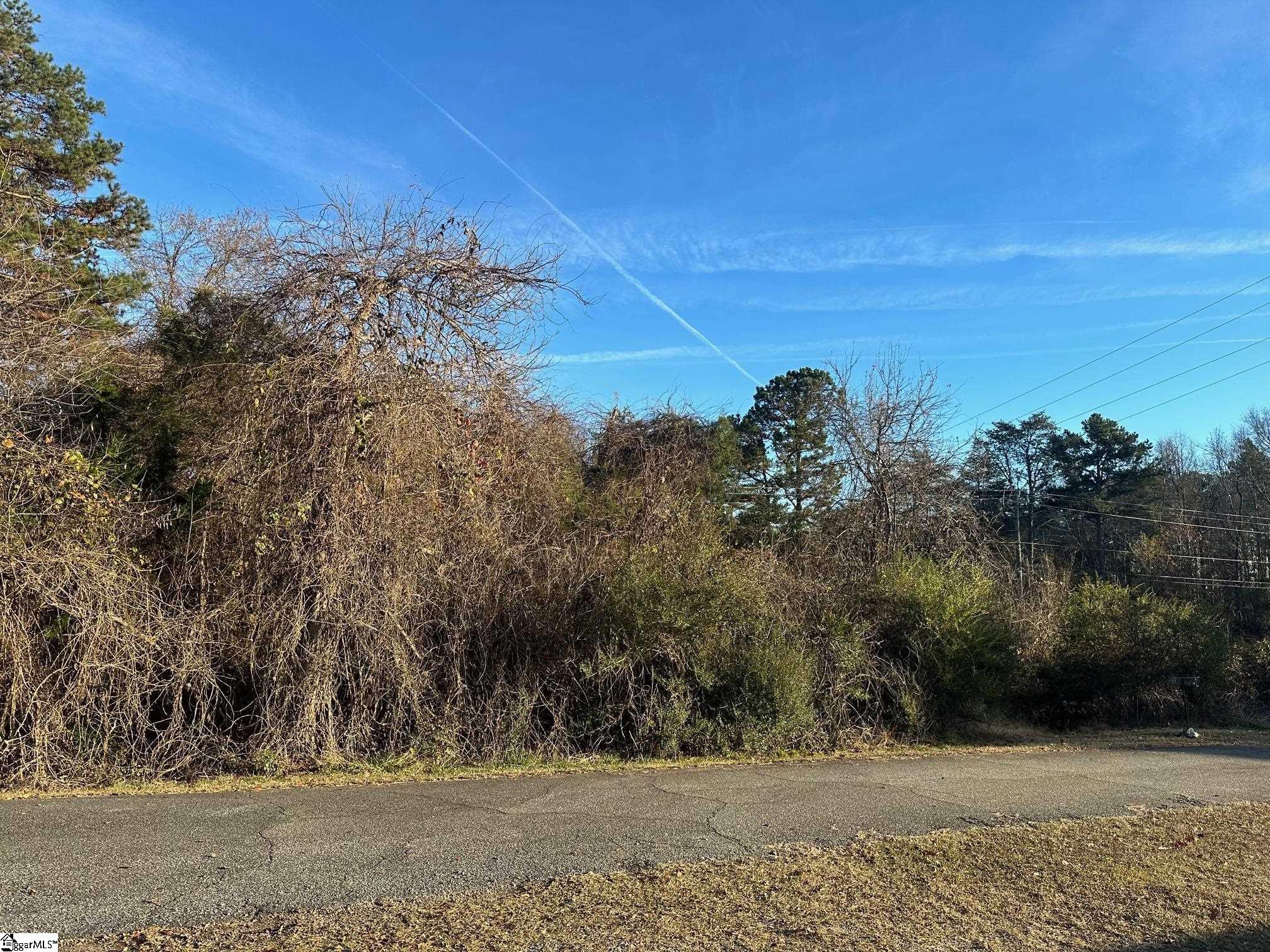 0 Bluebird Hill Road Chesnee, SC 29323 - Photo 5 of 7