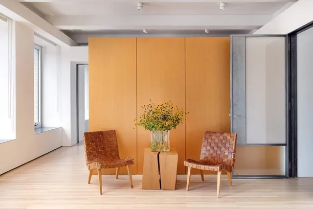 a view of a room with furniture and a potted plant