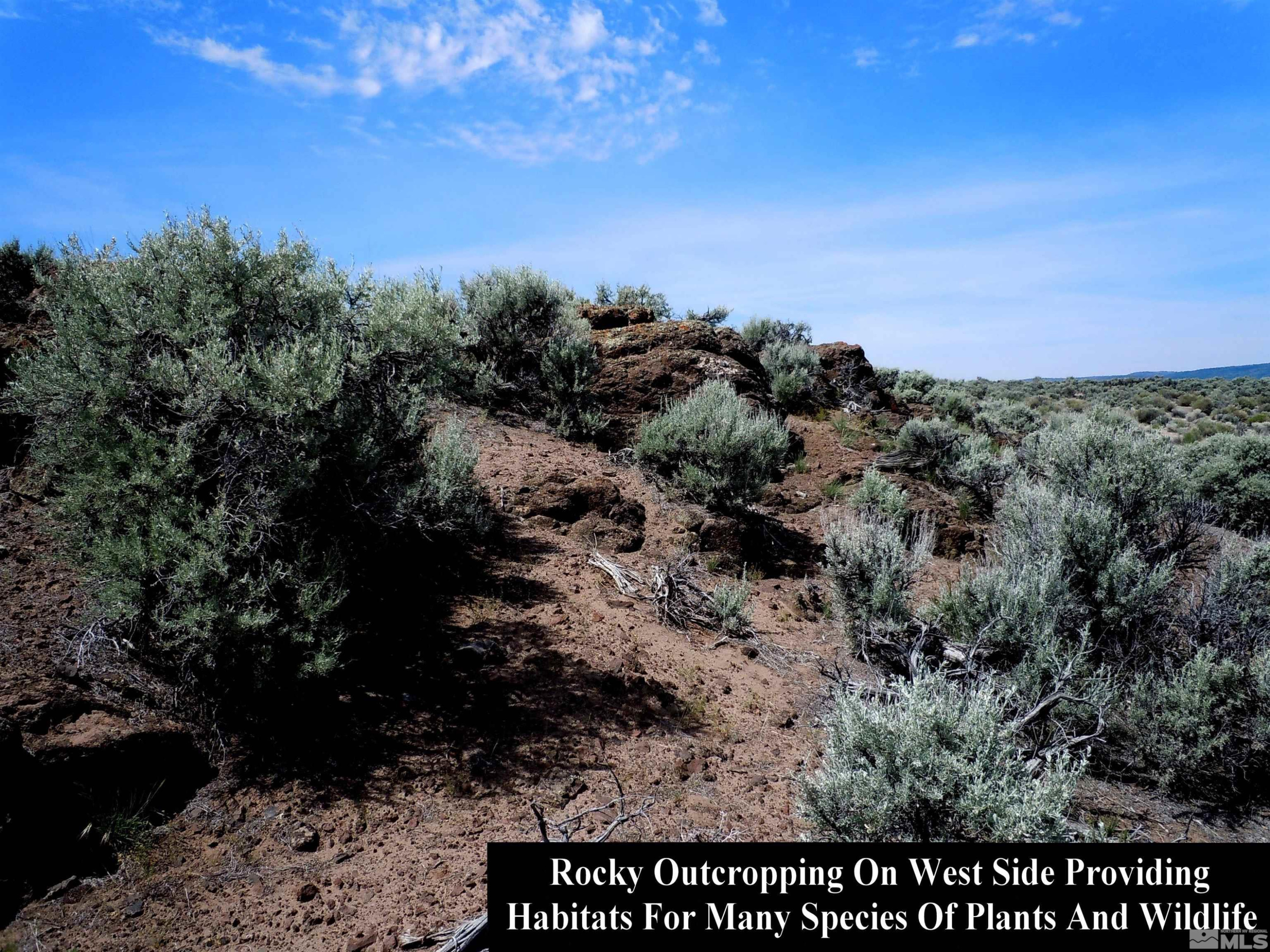 0 Unspecified Gerlach, NV 89412 - Photo 11 of 40 a view of a bunch of trees in a field