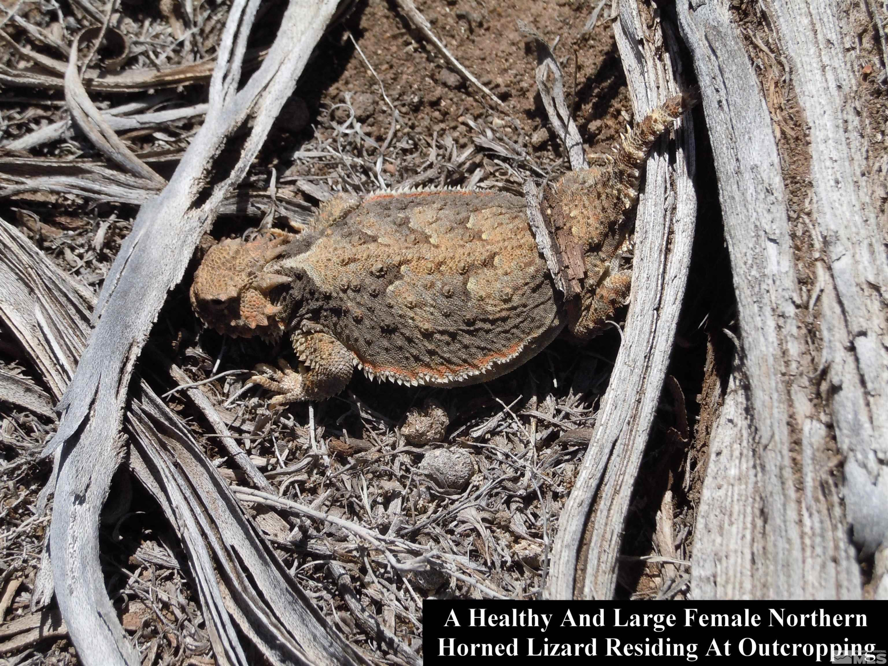 0 Unspecified Gerlach, NV 89412 - Photo 15 of 40