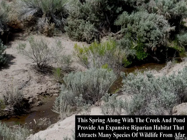 a view of outdoor space and entertaining space