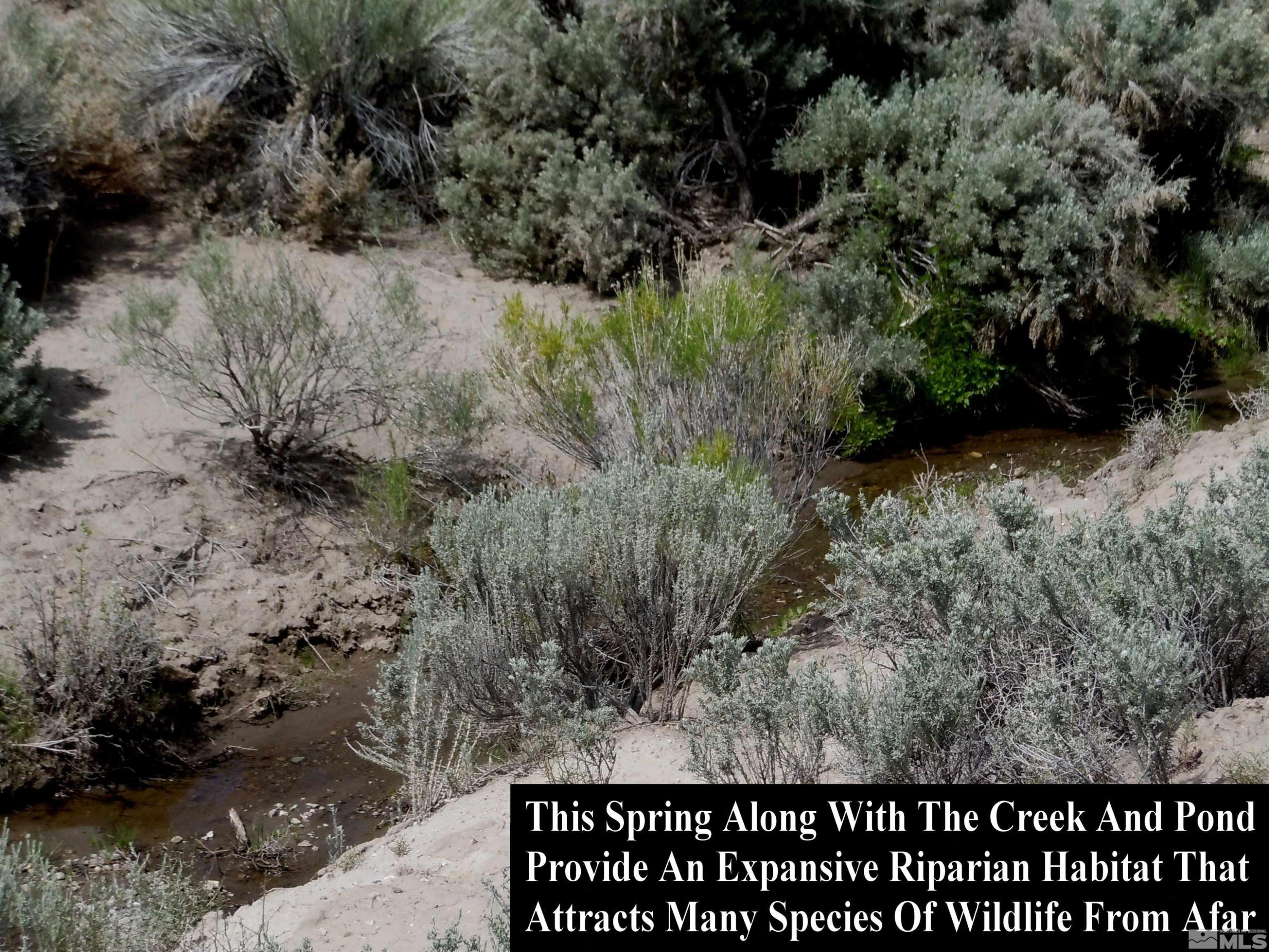 0 Unspecified Gerlach, NV 89412 - Photo 16 of 40