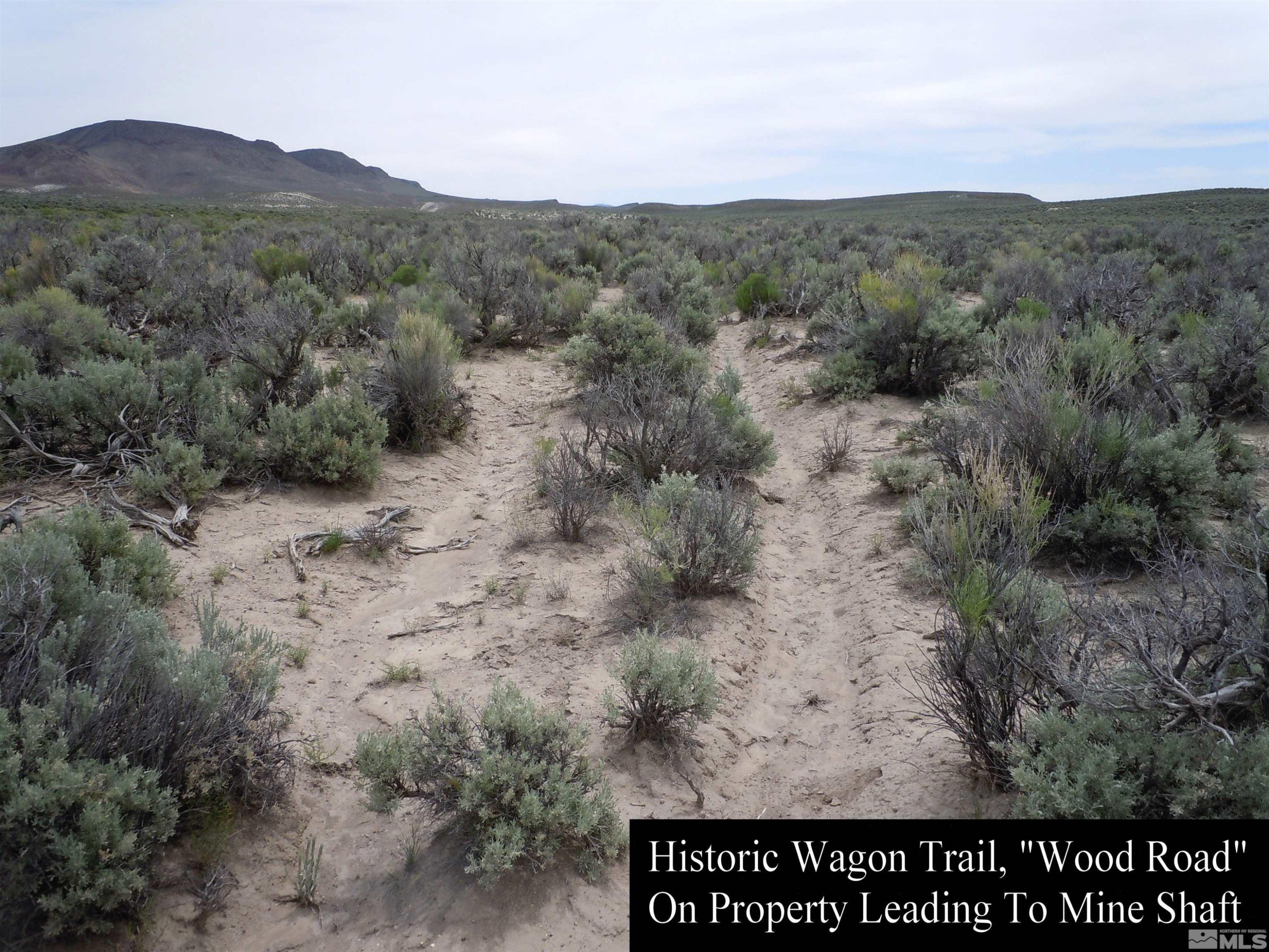 0 Unspecified Gerlach, NV 89412 - Photo 17 of 40 a view of a dry field