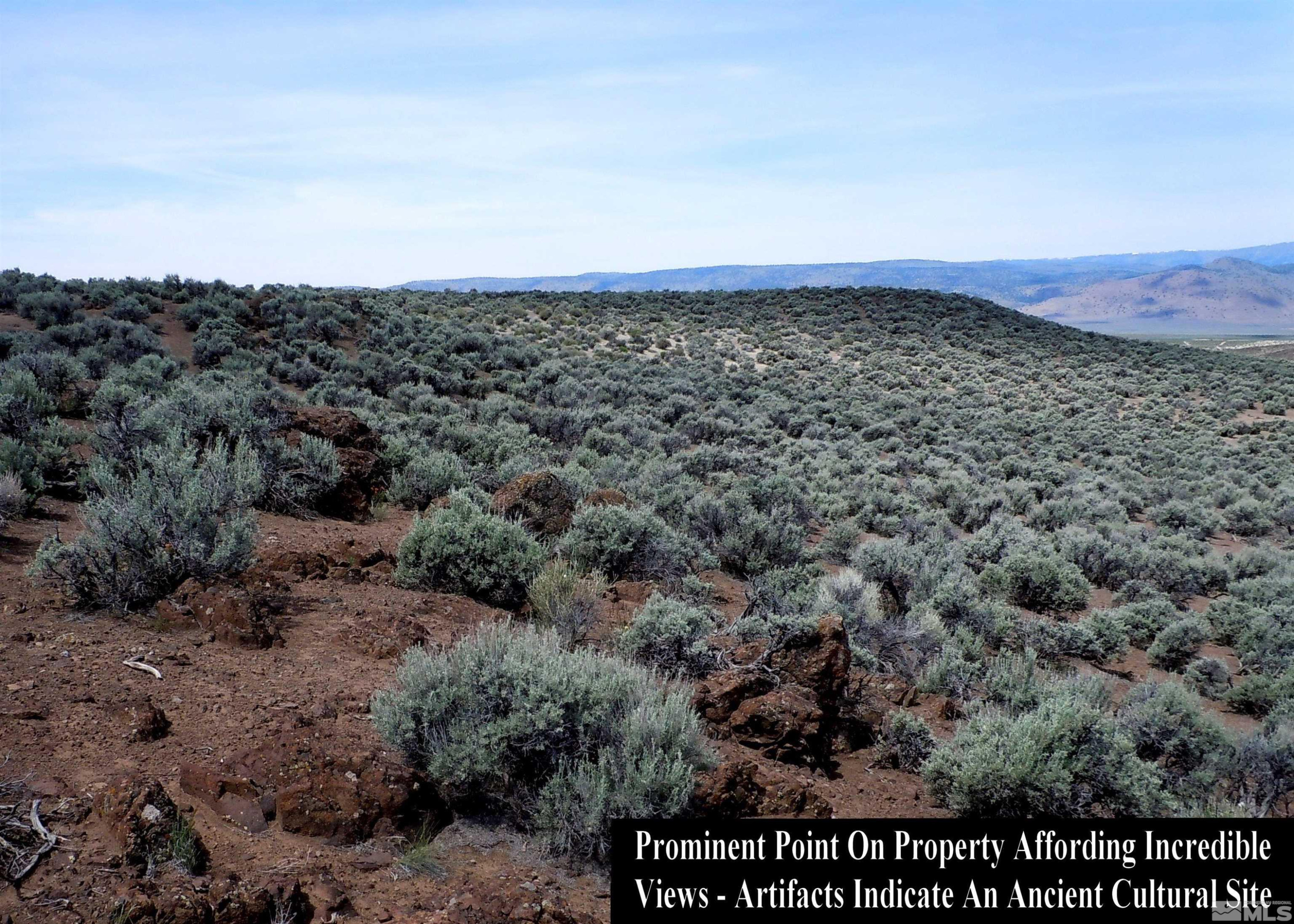 0 Unspecified Gerlach, NV 89412 - Photo 20 of 40 a view of a dry yard with trees
