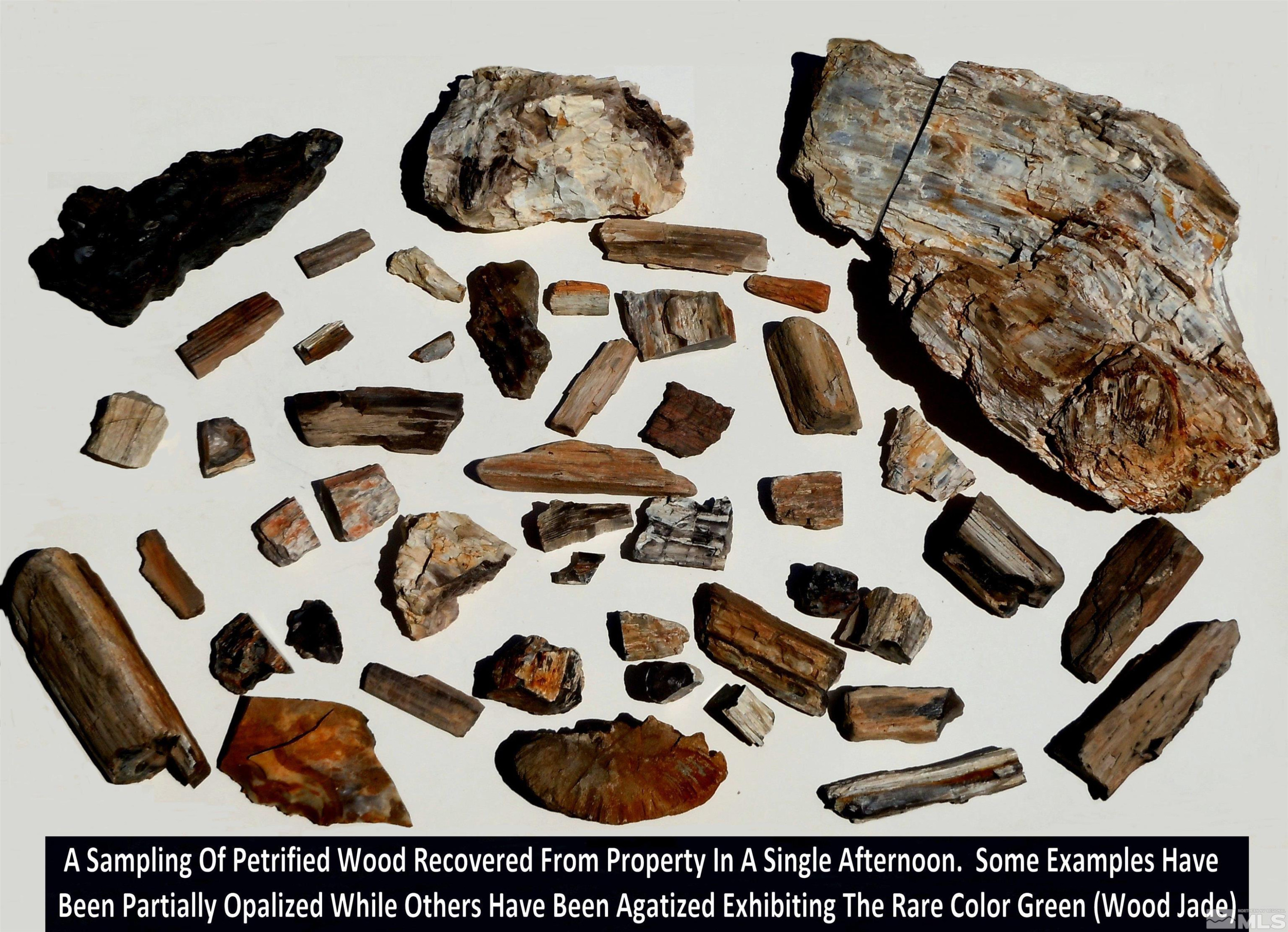 0 Unspecified Gerlach, NV 89412 - Photo 25 of 40 a black and white checkered floor