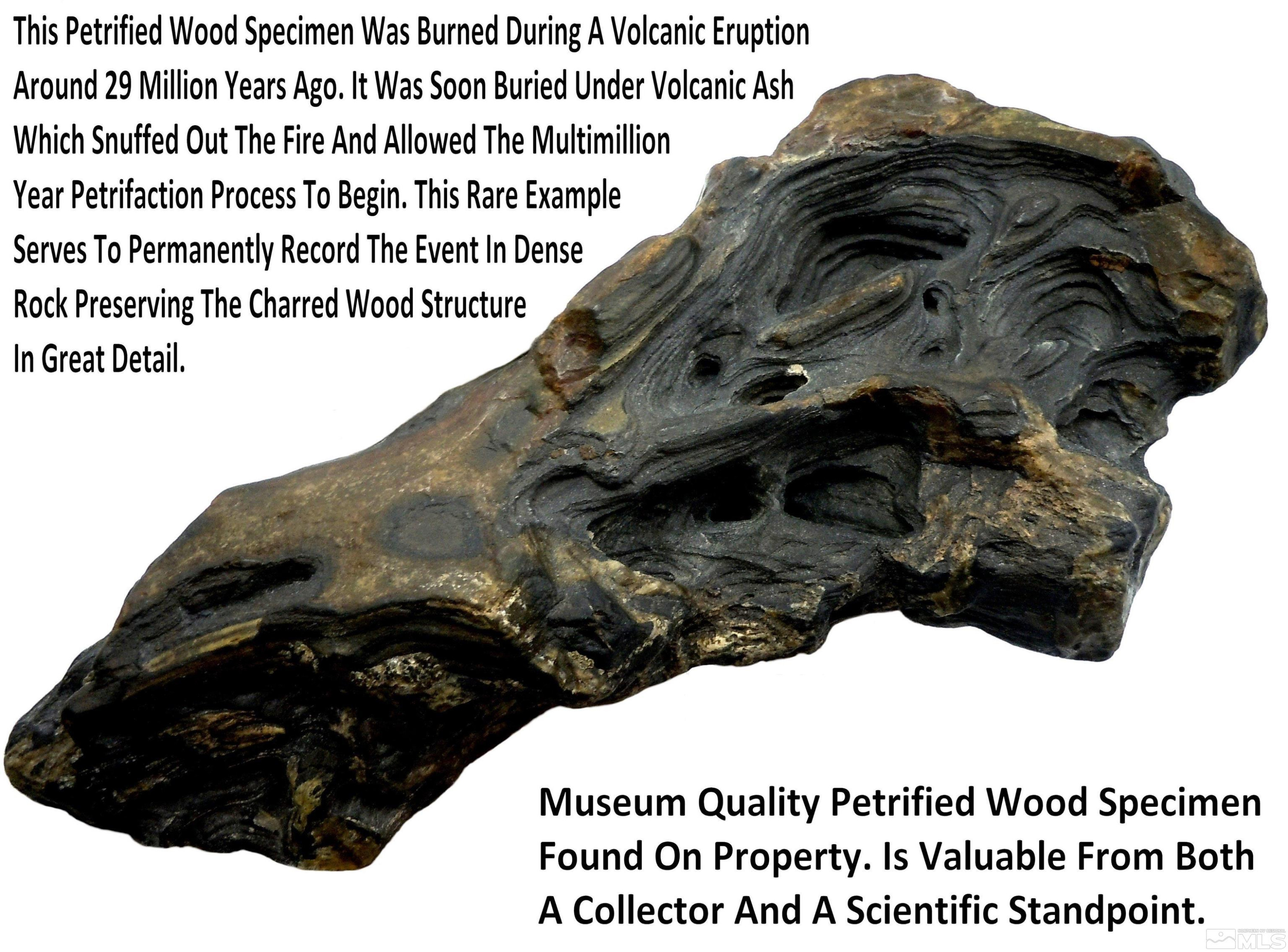 0 Unspecified Gerlach, NV 89412 - Photo 27 of 40 a black and white photo of a black and white wall