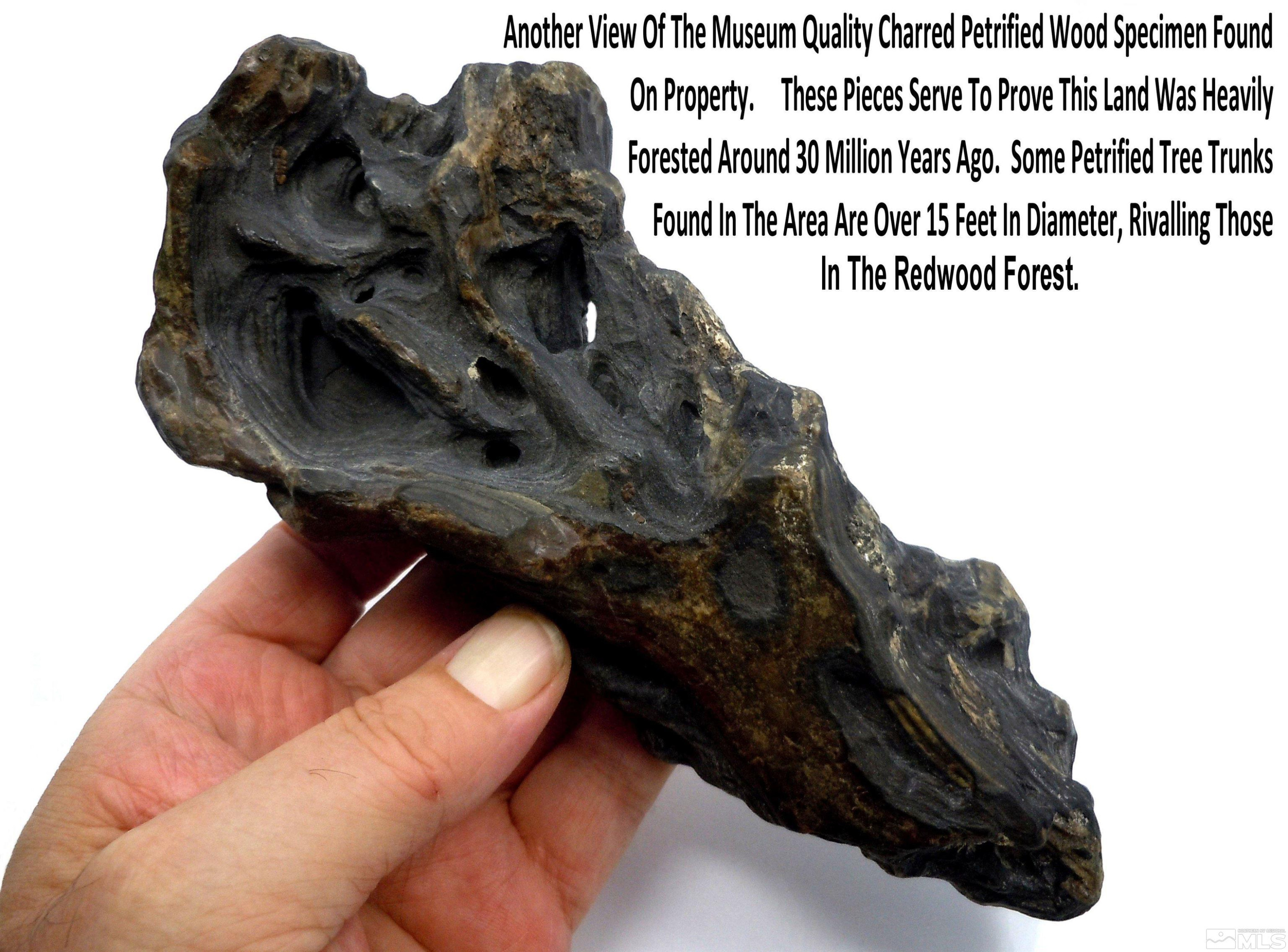 0 Unspecified Gerlach, NV 89412 - Photo 28 of 40 a picture of a rug