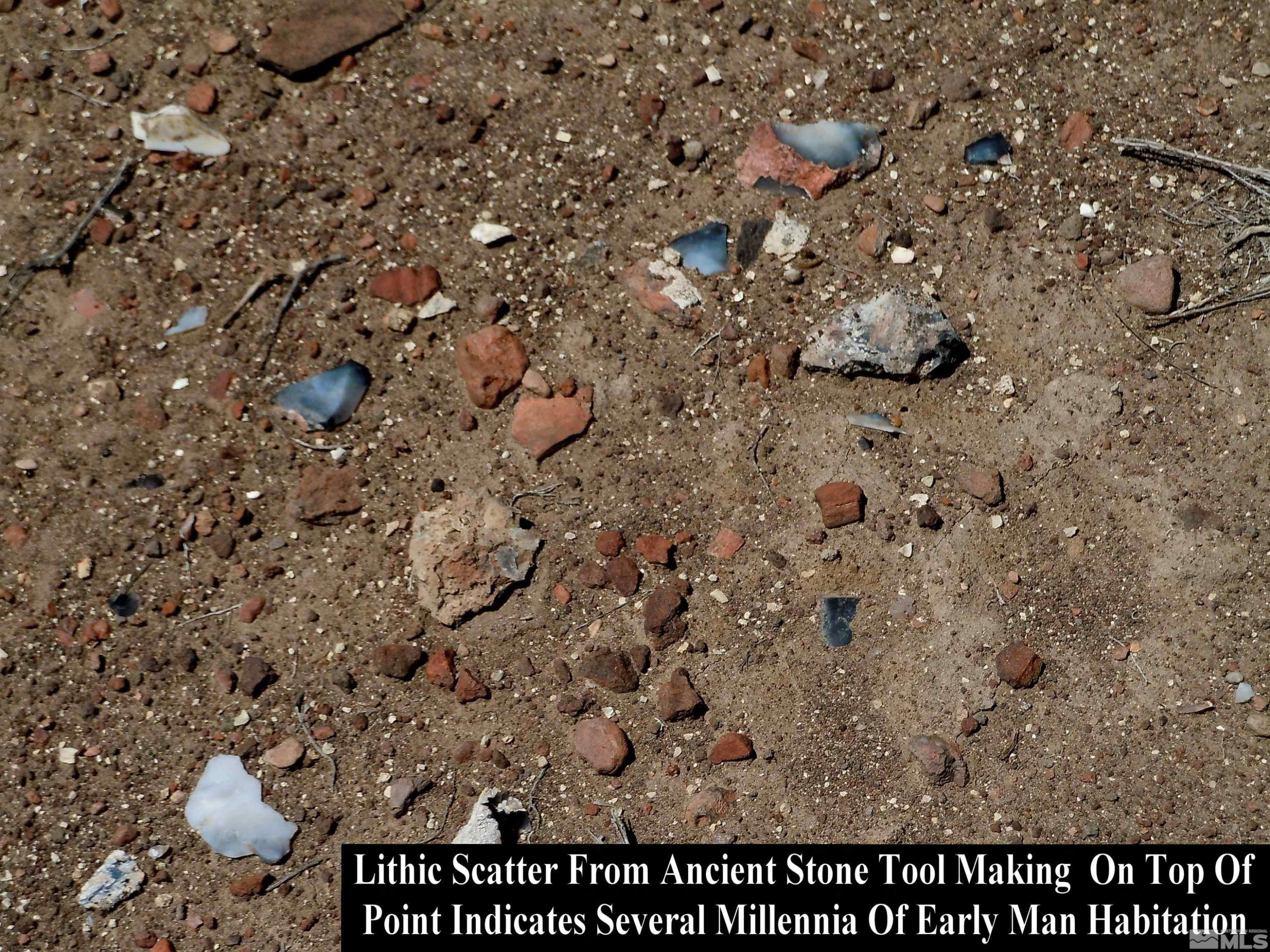 0 Unspecified Gerlach, NV 89412 - Photo 29 of 40 a picture of a tree