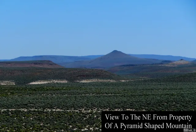 a view of a field with a tree in a field