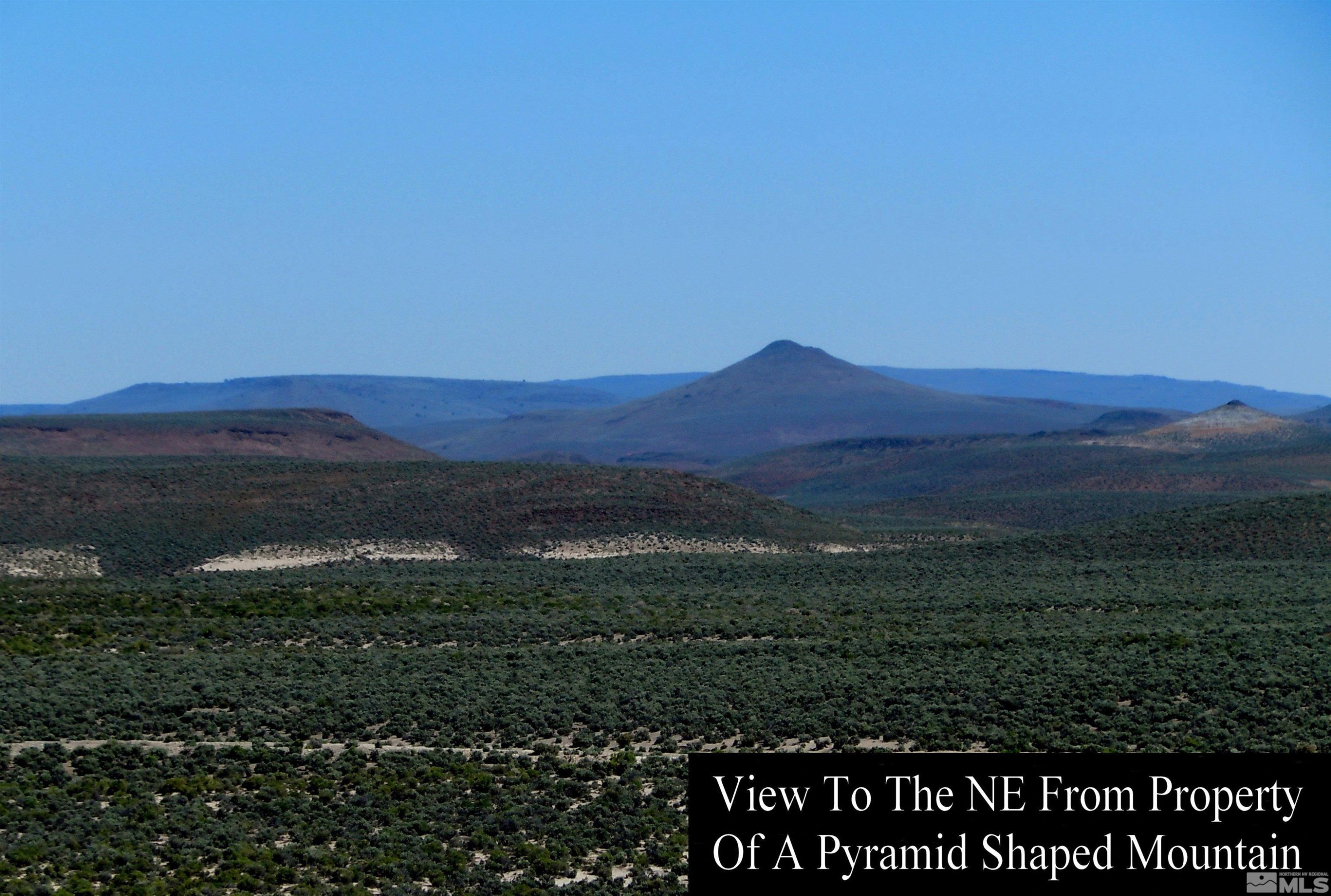0 Unspecified Gerlach, NV 89412 - Photo 6 of 40 a view of a field with a tree in a field