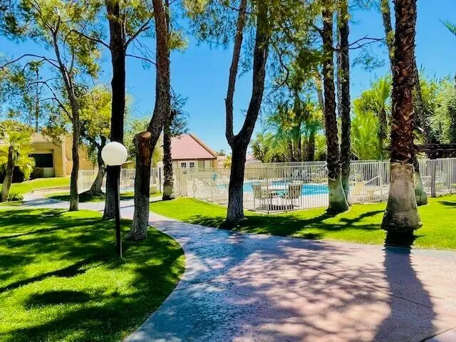 a view of a park with plants and a large tree