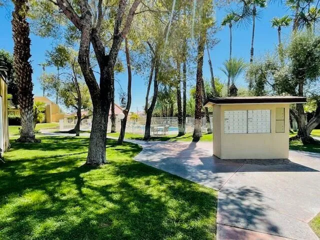 a view of a park with large trees
