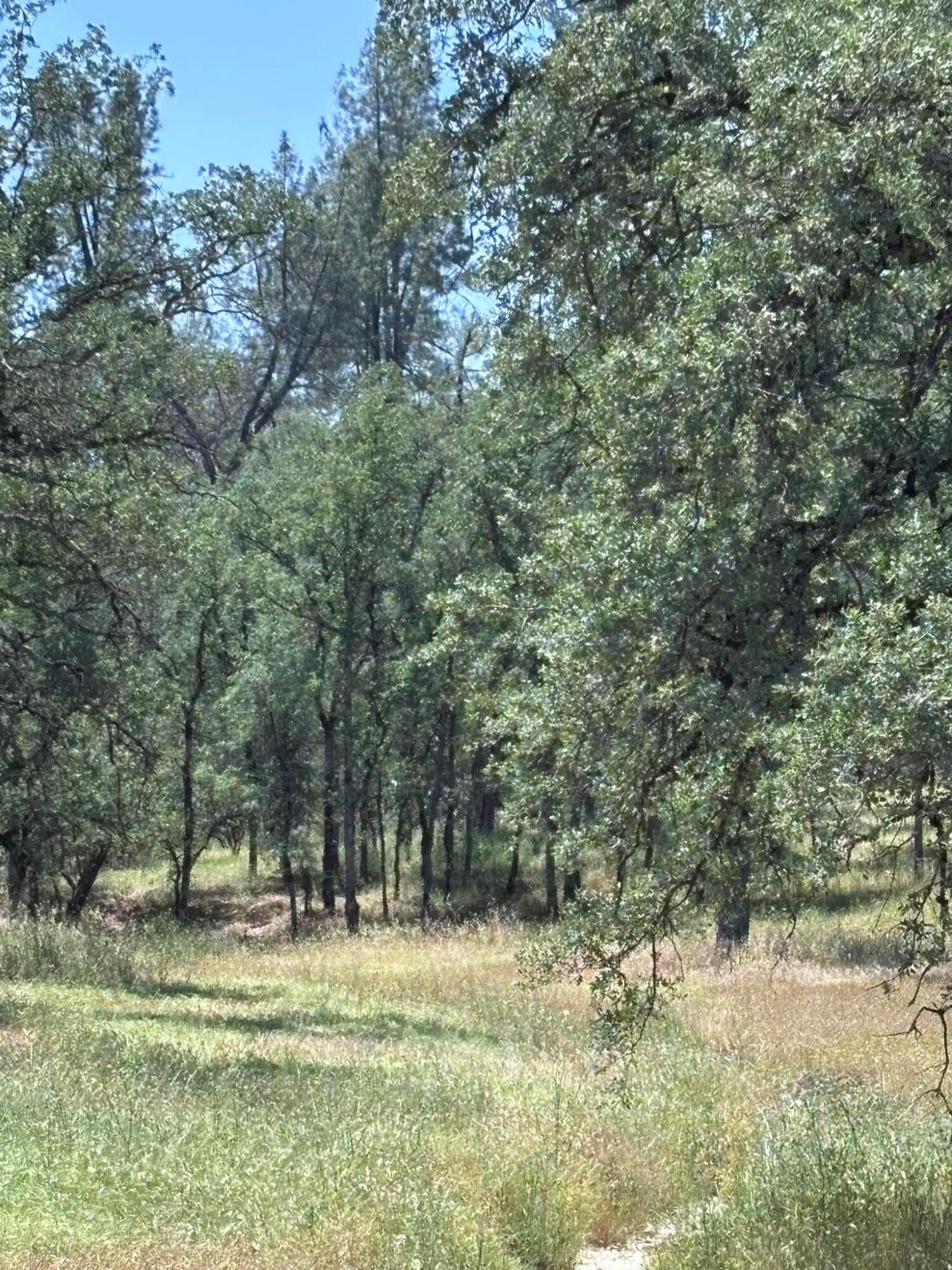 Blue Sky Road Bella Vista, CA 96008 - Photo 1 of 5 Front