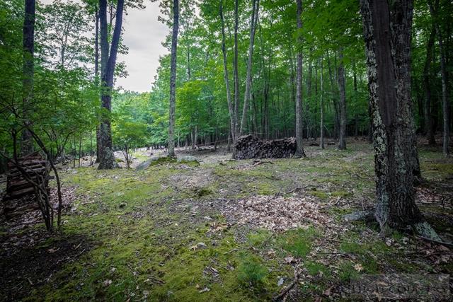 605 Pine Ridge Road Beech Mountain, NC 28604 - Photo 24 of 45 a view of outdoor space with trees all around