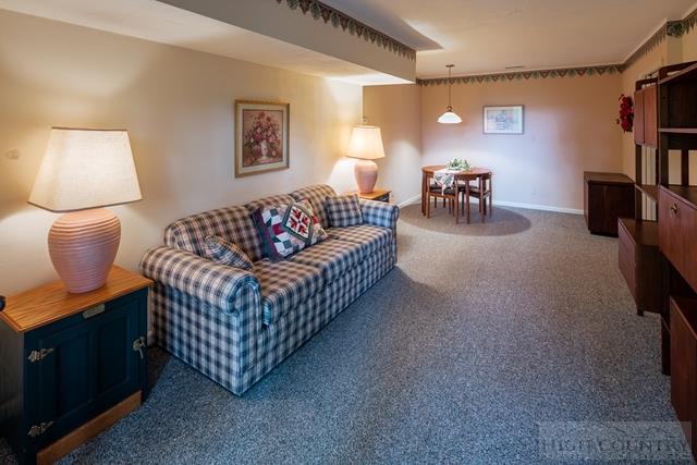 605 Pine Ridge Road Beech Mountain, NC 28604 - Photo 28 of 45 a living room with furniture and a lamp