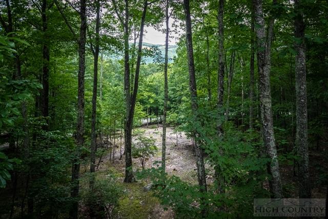 605 Pine Ridge Road Beech Mountain, NC 28604 - Photo 35 of 45 a view of forest