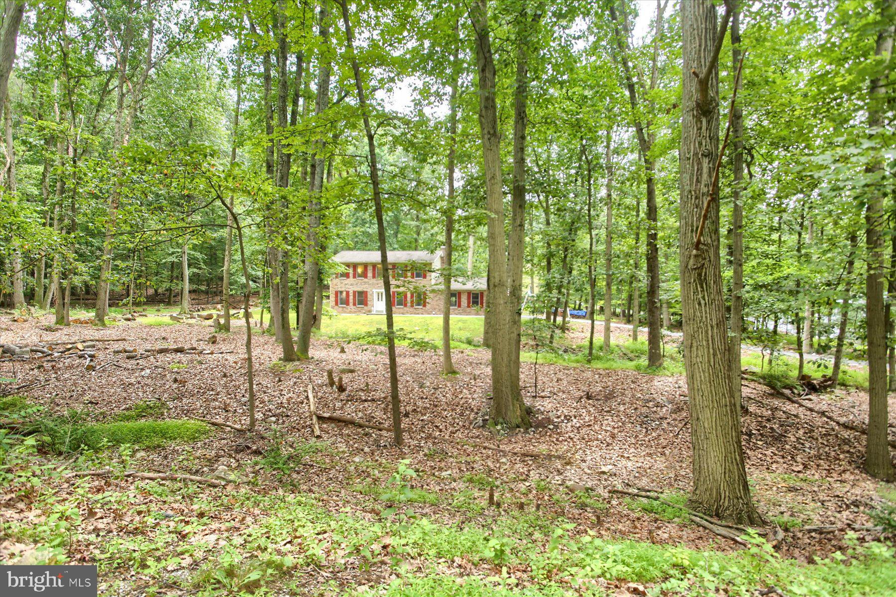 601 Spring Lane Boiling Springs, PA 17007 - Photo 5 of 46 Gallery Image 5