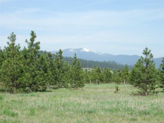 21710 North Hardesty Road, Unit LOT C Colbert, WA 99005 - Photo 1 of 1