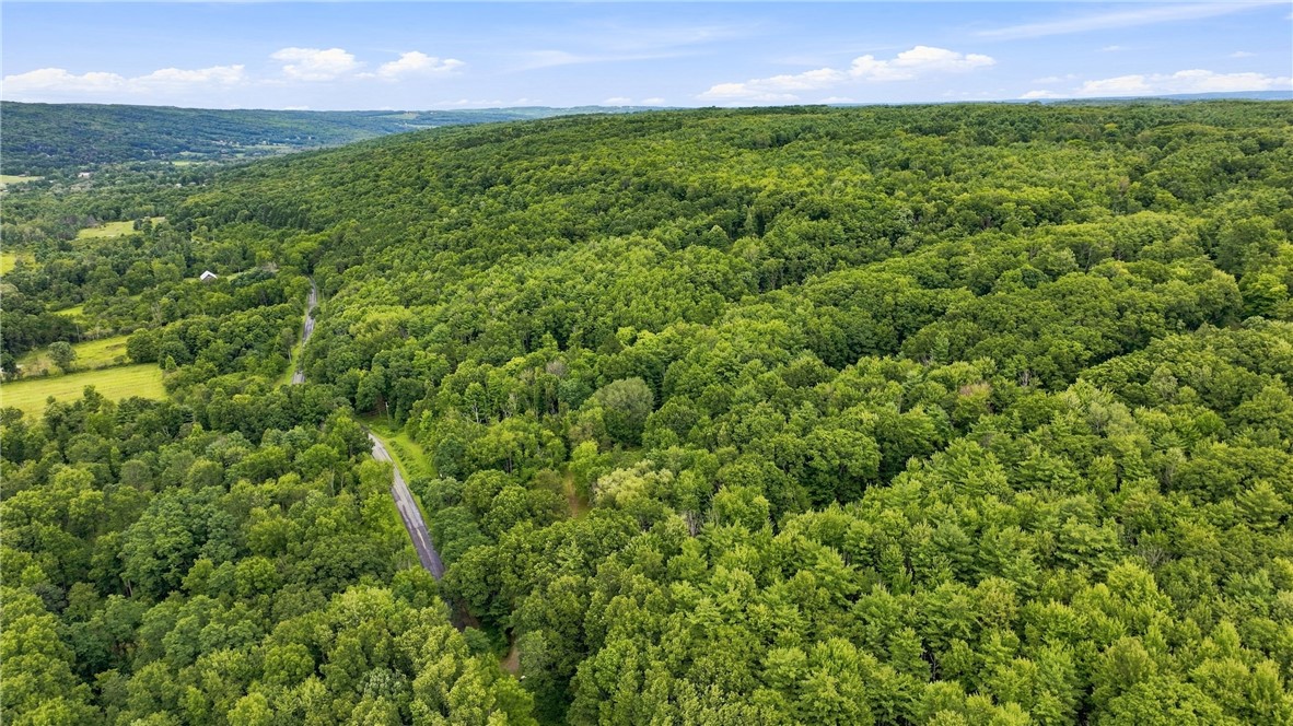 4862 Decamp Road Tyrone, NY 14837 - Photo 21 of 21 Gallery Image 21