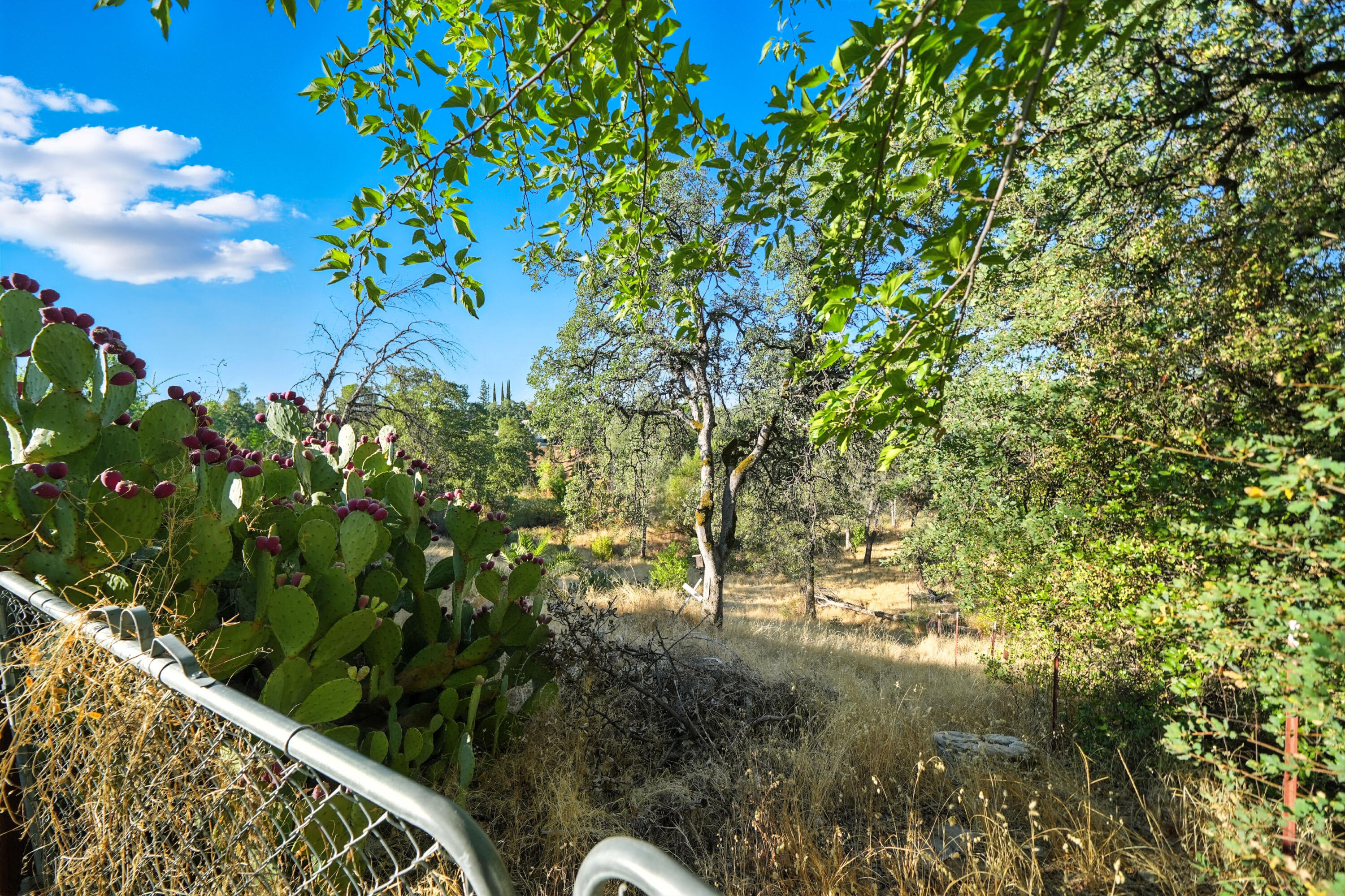 3757 Magnums Way Redding, CA 96003 - Photo 32 of 44 IMG-28