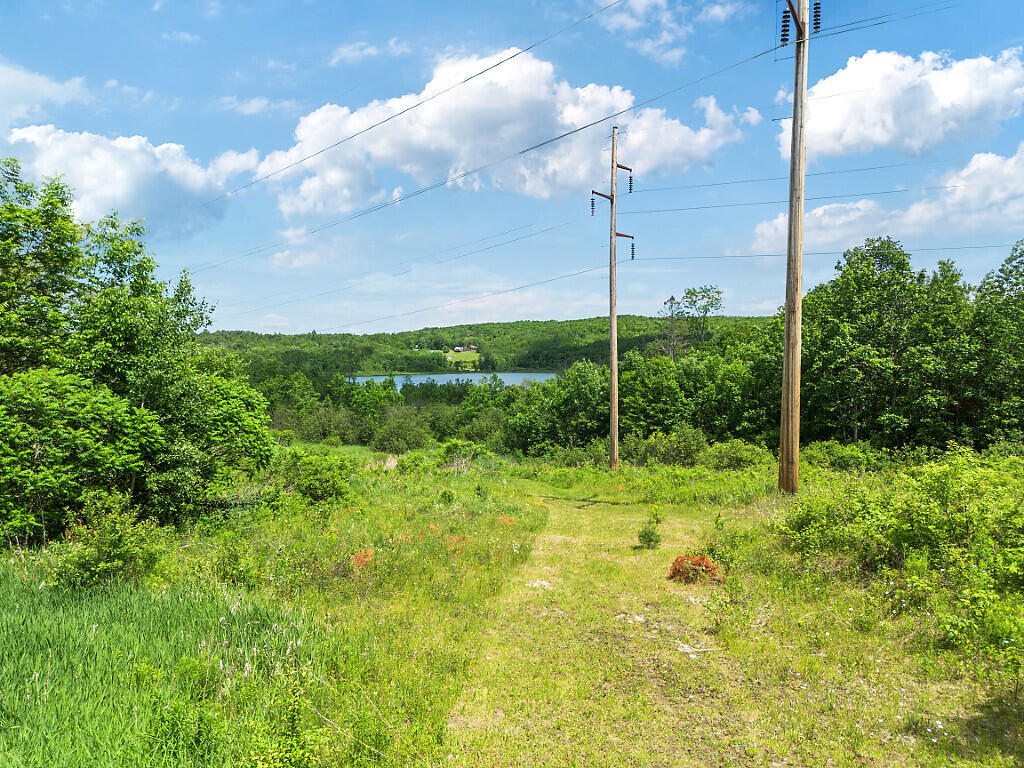 325 Molunkus Road Cornville, ME 04976 - Photo 33 of 44 Path to pond