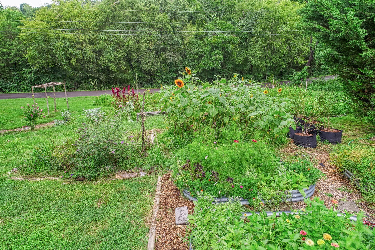 2628 Hodges Ferry Road Kodak, TN 37764 - Photo 65 of 89 Gallery Image 65