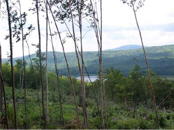 # North Groton Road Hebron, NH 03241 - Photo 1 of 1