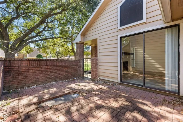 a view of backyard with tree