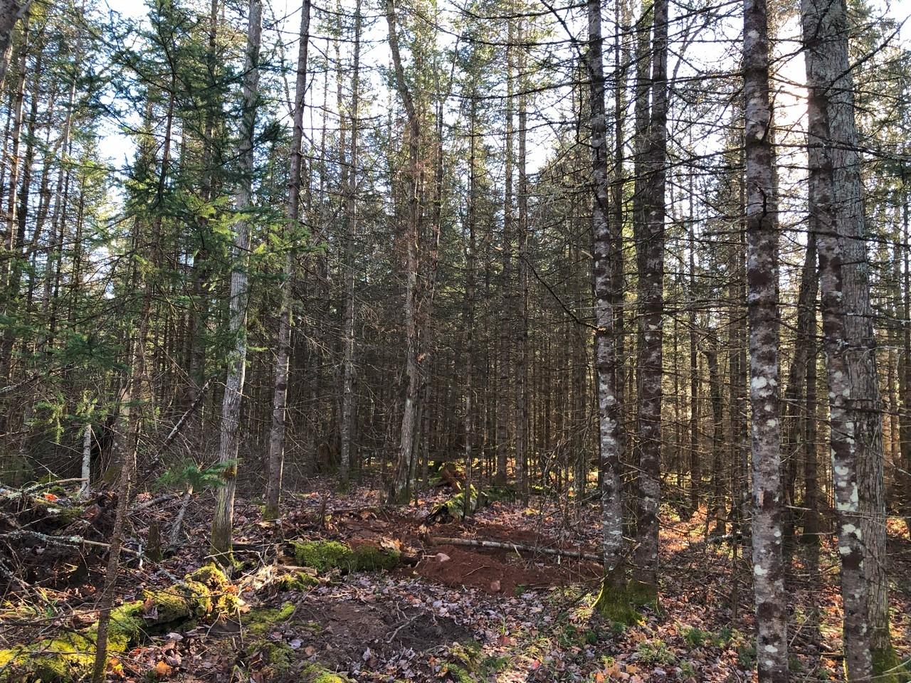 Off East Bay Road, Unit LOT 5 Presque Isle, WI 54557 - Photo 27 of 29 Gallery Image 27