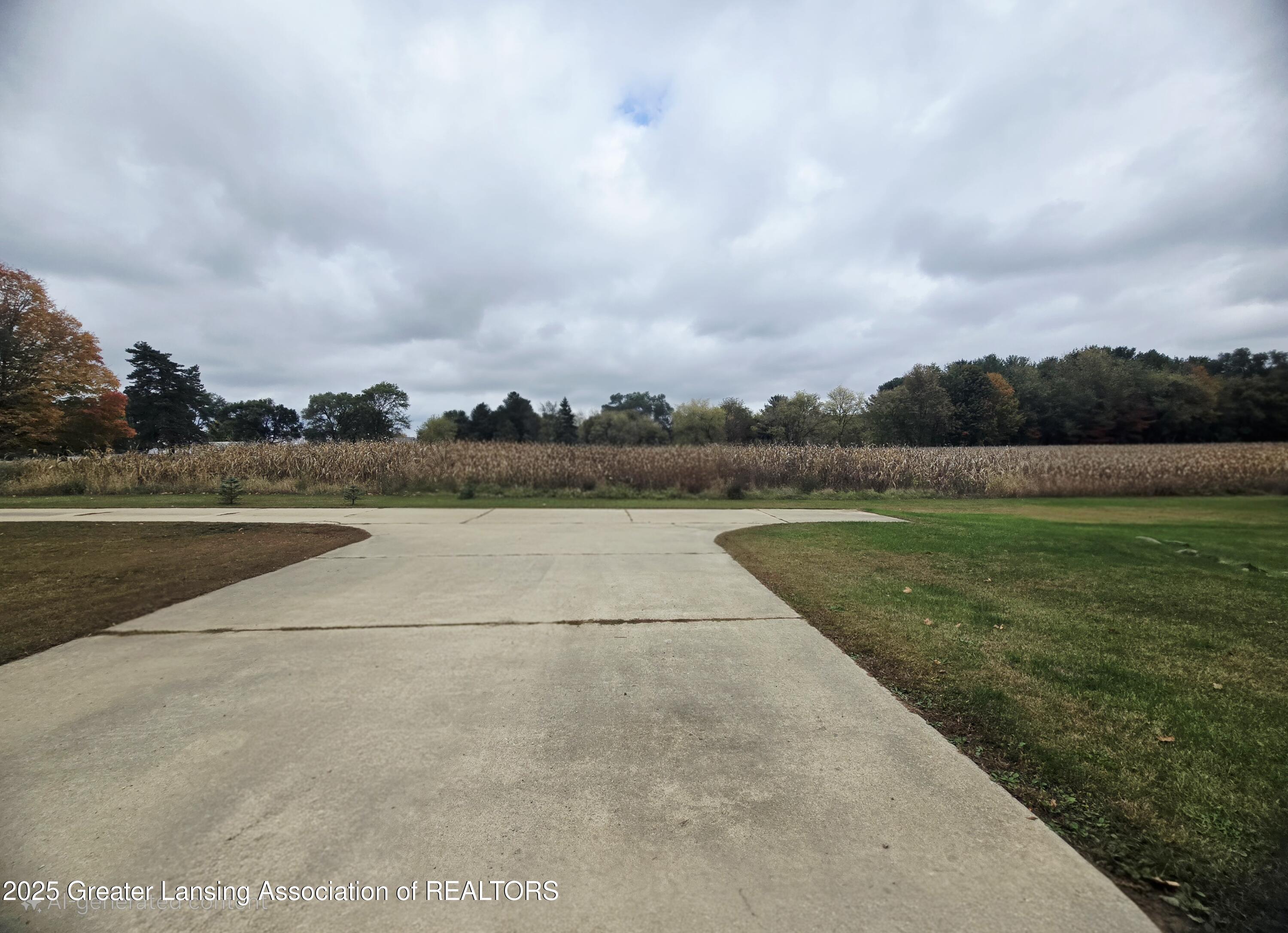 7694 North Meridian Road Elsie, MI 48831 - Photo 26 of 41 Merdian side