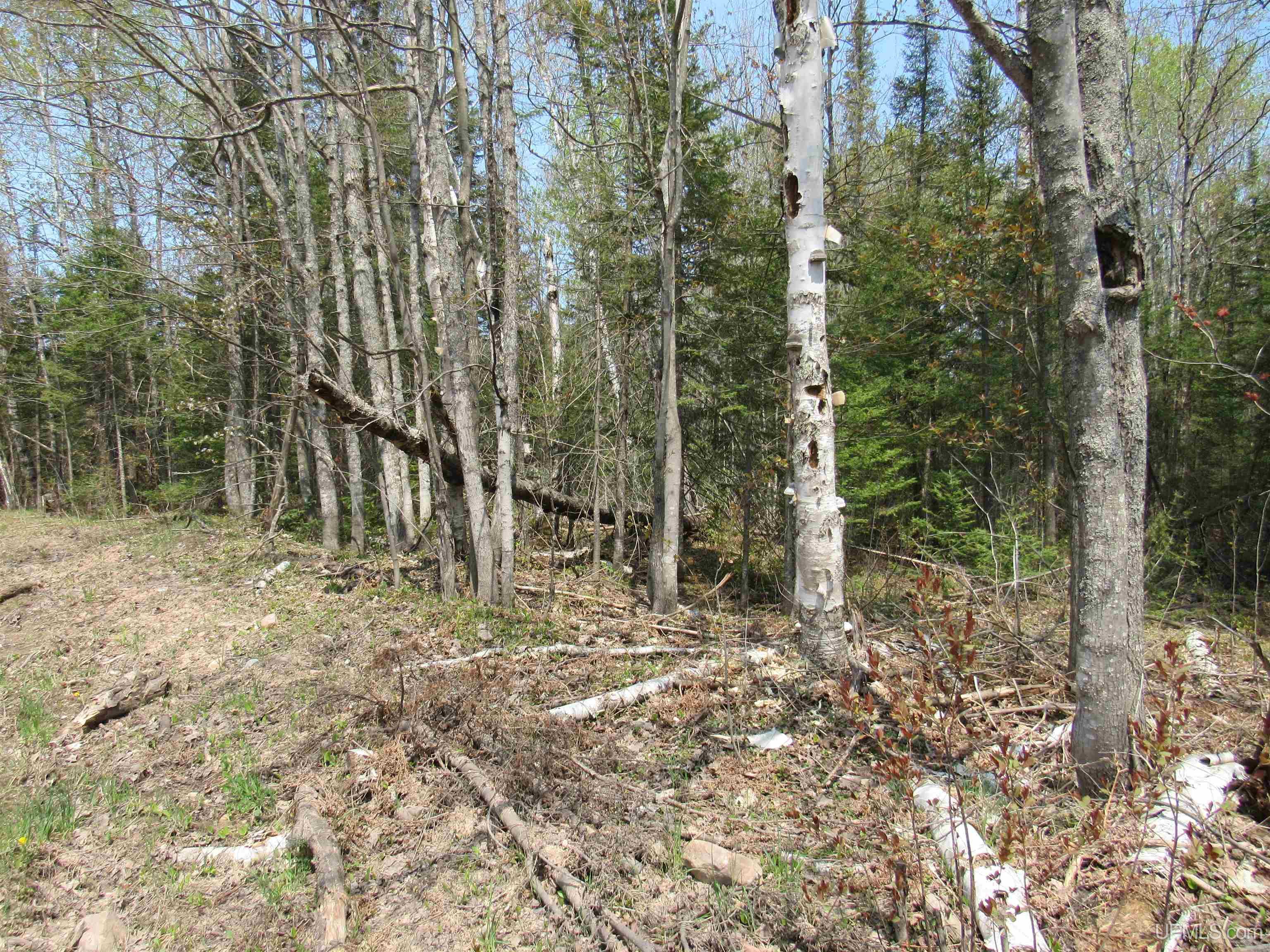 Tbd Deerton-sand Lake Road Deerton, MI 49822 - Photo 18 of 23
