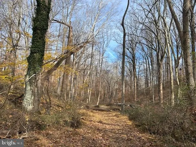 a view of backyard with green space
