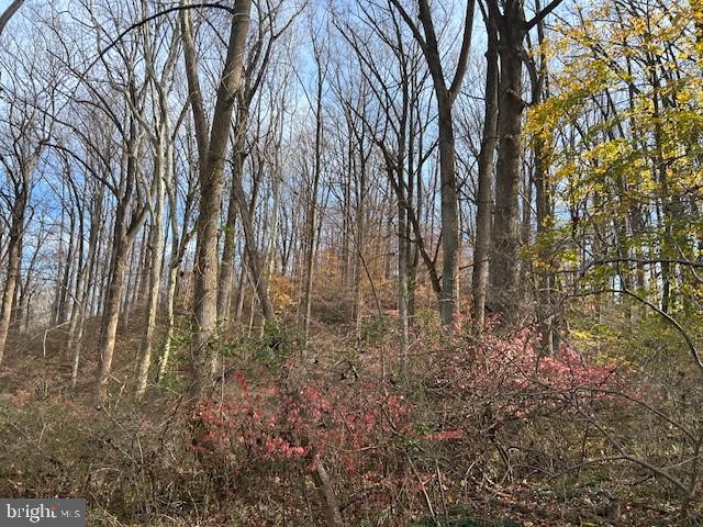 Cuba Road Hunt Valley, MD 21030 - Photo 8 of 12 a view of backyard with green space