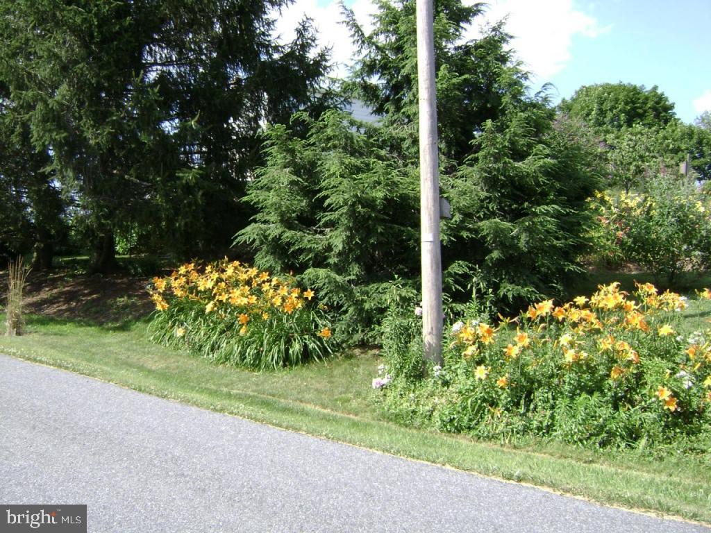 1442 Ridge Road Elizabethtown, PA 17022 - Photo 5 of 19
