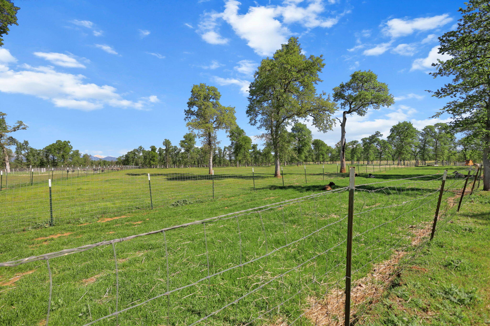 22989 Antler Road Millville, CA 96062 - Photo 21 of 29 54-web-or-mls-LZ0A0367