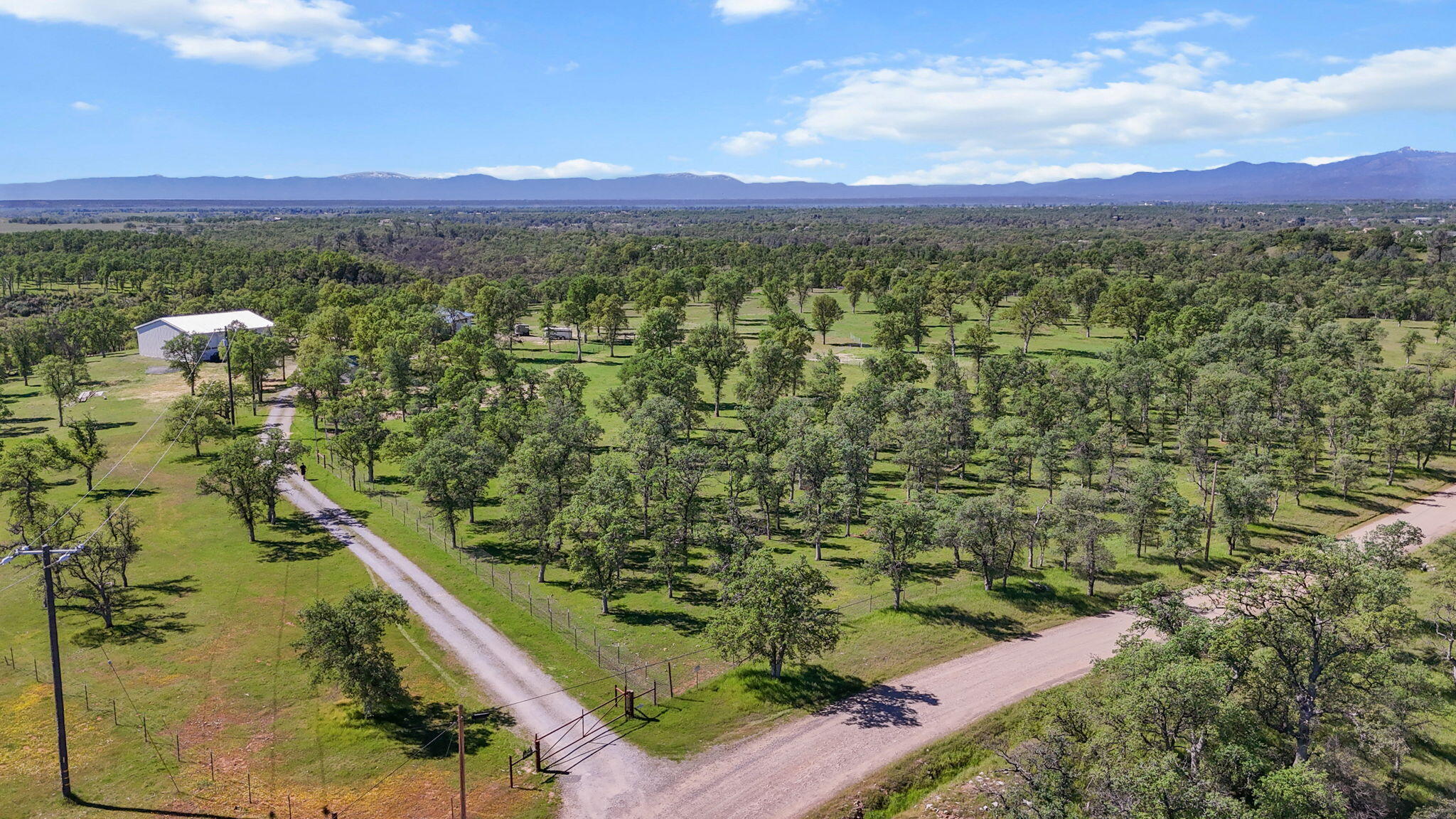 22989 Antler Road Millville, CA 96062 - Photo 23 of 29 7-web-or-mls-DJI_20260317123358_0104_D