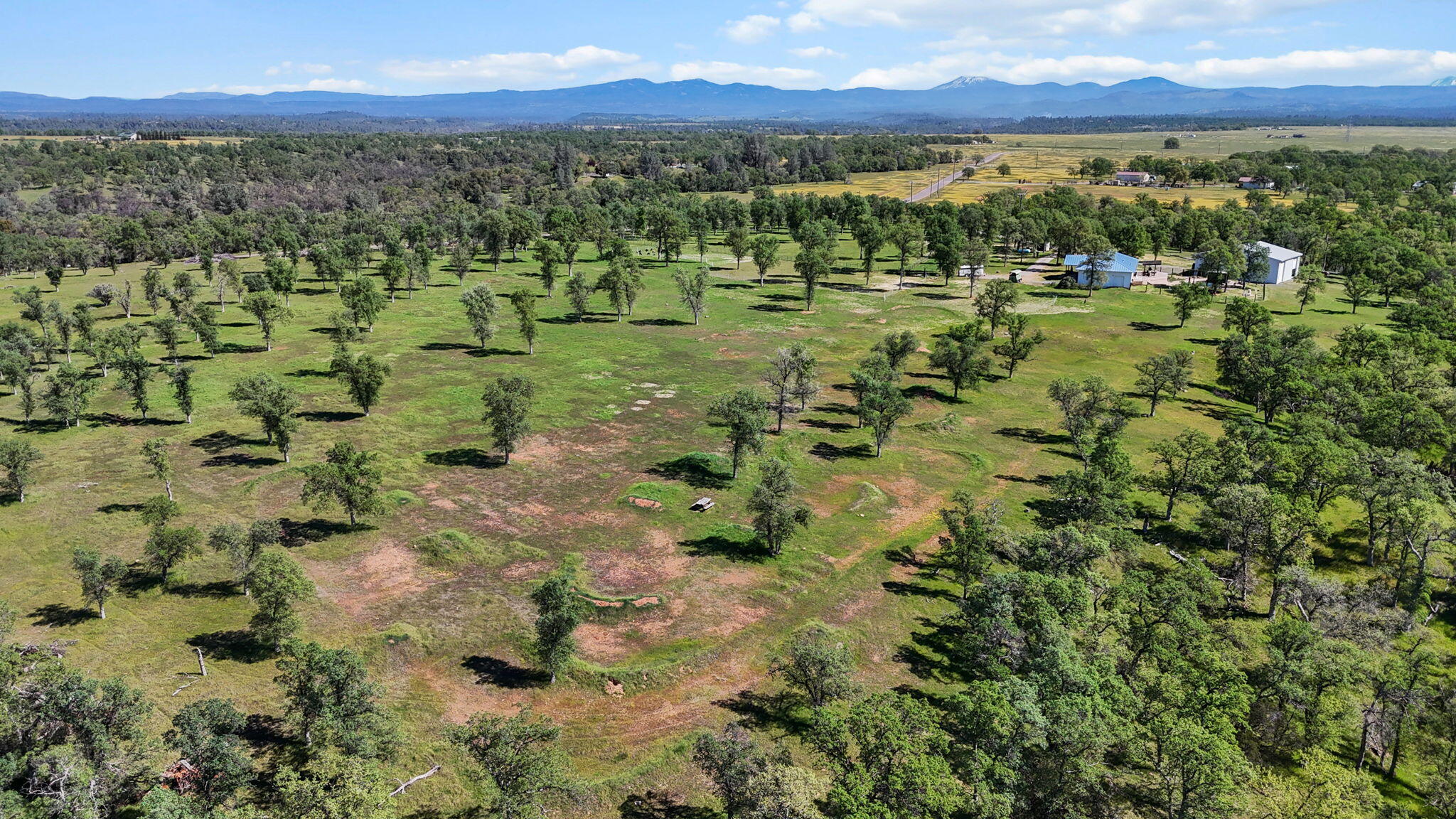 22989 Antler Road Millville, CA 96062 - Photo 25 of 29 9-web-or-mls-DJI_20260317123519_0118_D