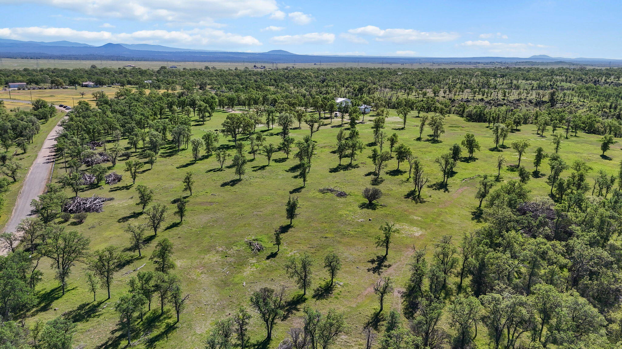 22989 Antler Road Millville, CA 96062 - Photo 26 of 29 10-web-or-mls-DJI_20260317123548_0123_D