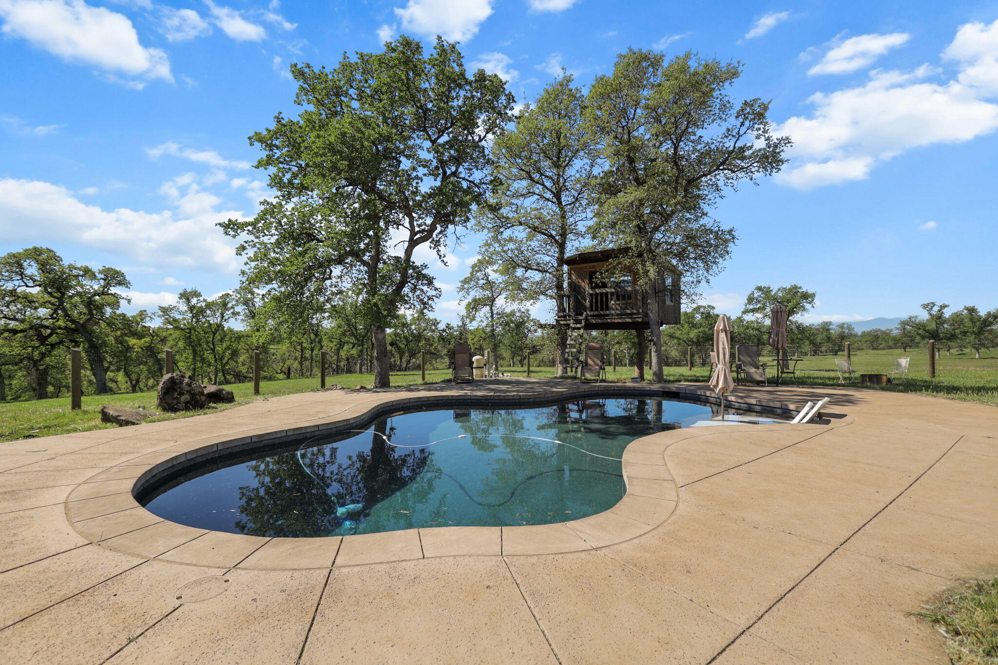 22989 Antler Road Millville, CA 96062 - Photo 6 of 29 62-web-or-mls-LZ0A0445