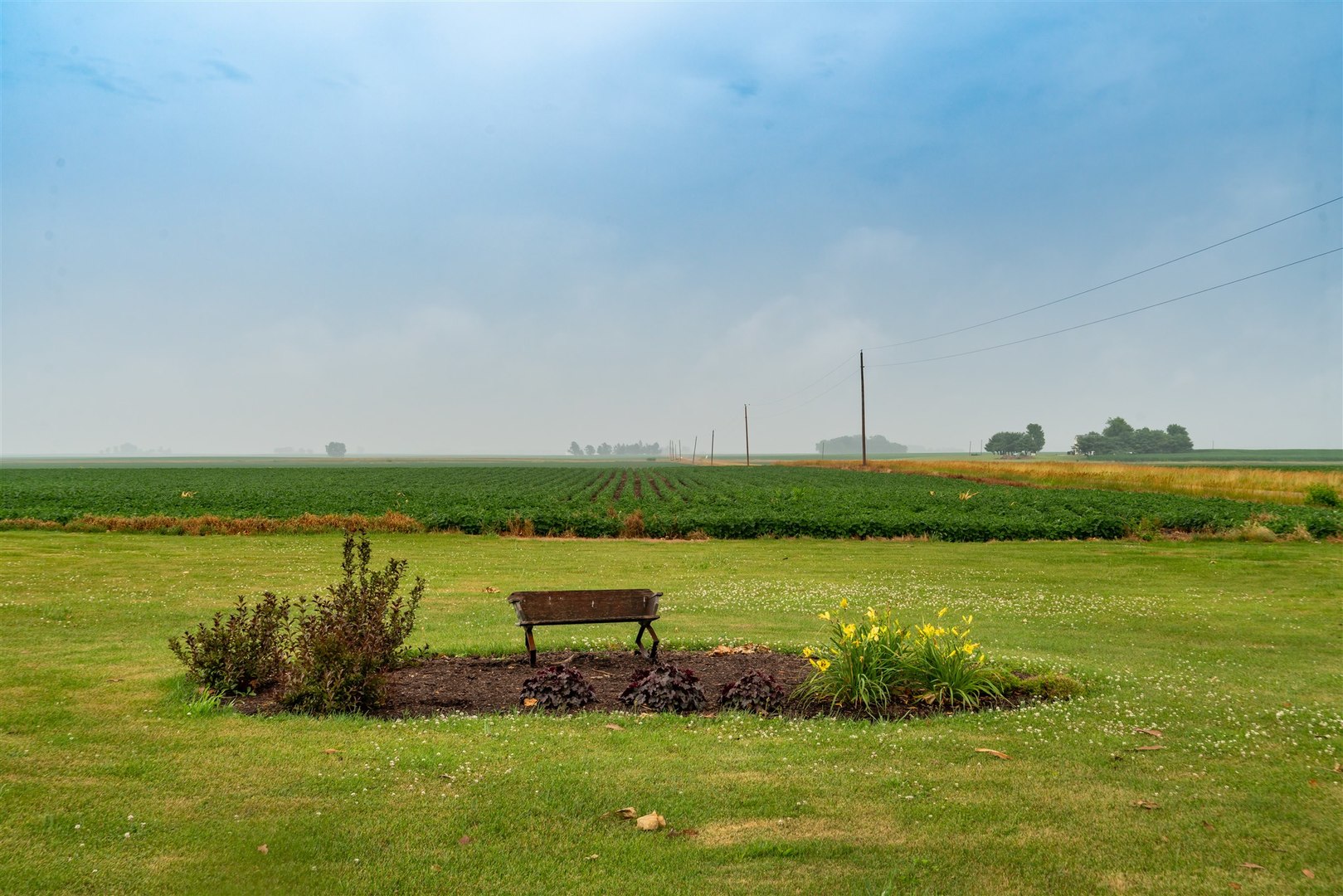 34732 Peine Road Minier, IL 61759 - Photo 5 of 39 a view of a lake with a big yard